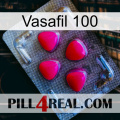 Vasafil 100 13